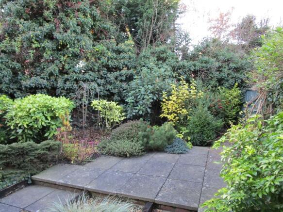 Photo 10