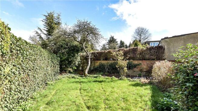 Garden Shot 2