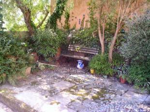 Courtyard garden