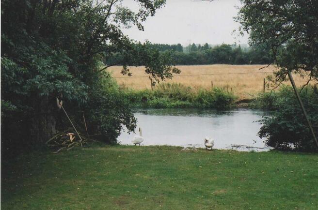 Grounds 2