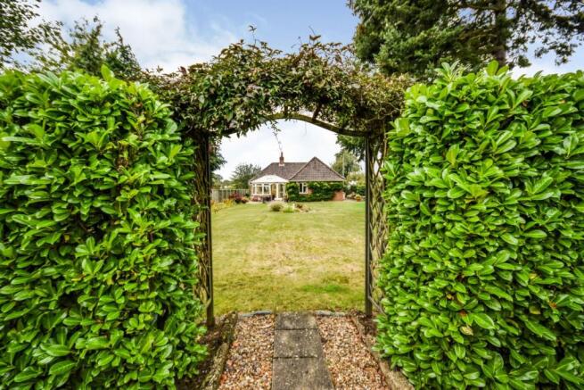 Hedge