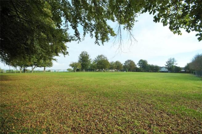 Local Playing Field