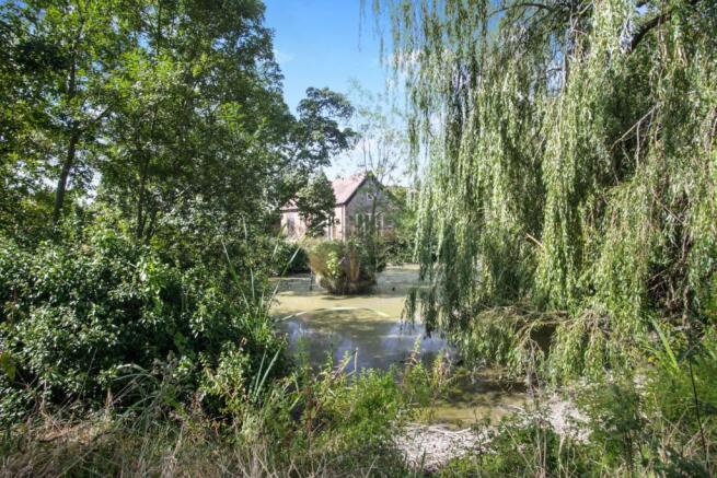 View Of The Property