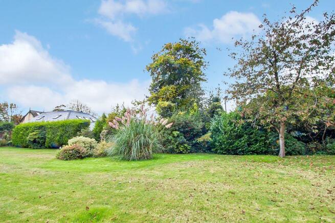 Garden at Back