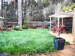 Rear garden