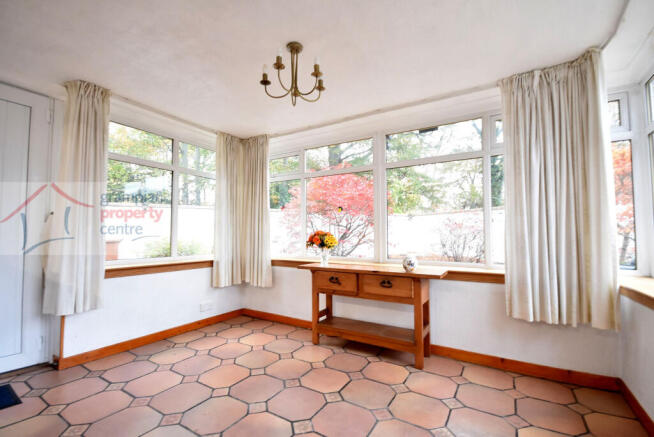 sun room 2 .JPG