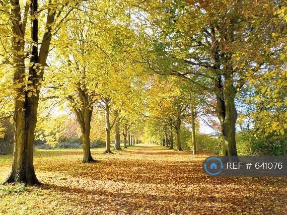 Farnham Park