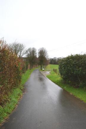 DSC_0020.JPG