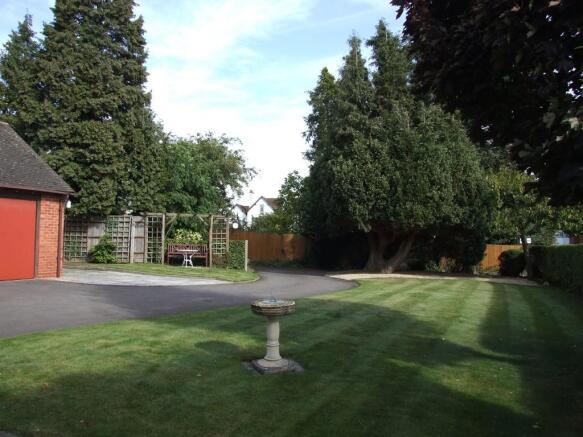 Photo 6