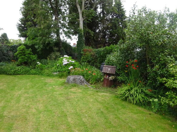 Photo 24