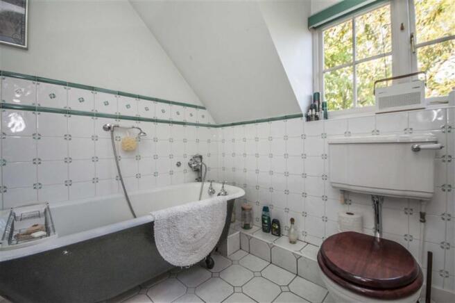Photo 11
