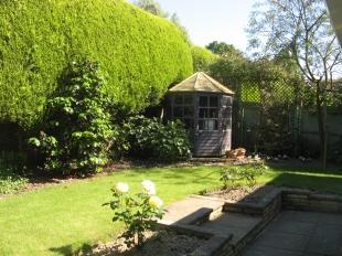 Rear Garden (2)