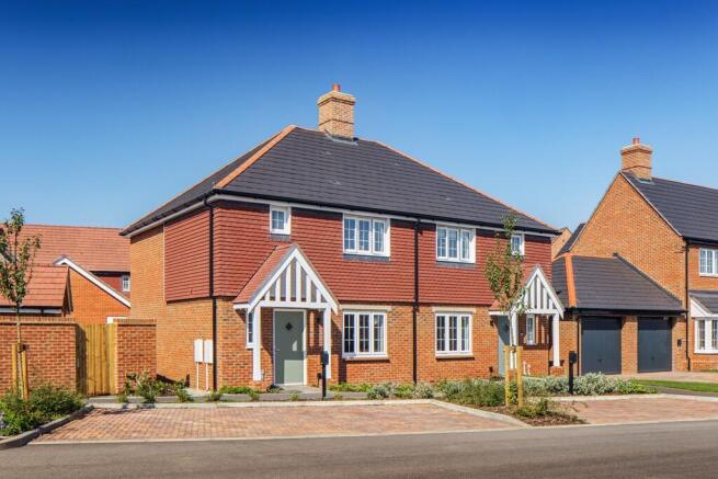 blackthorn external image
