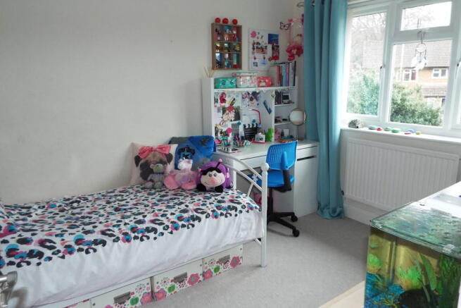 Photo 9