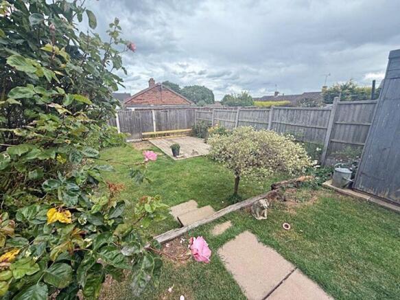 New garden 1