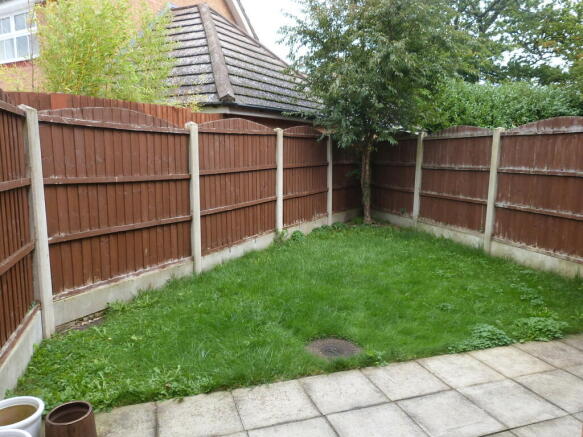 Photo 5