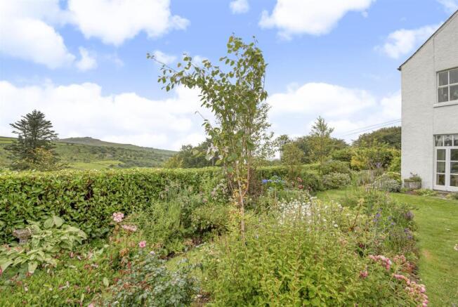 Garden and View