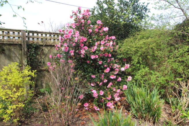 Photo 15