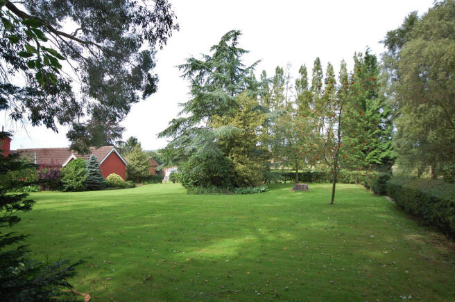 Photo 24