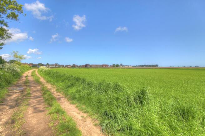 Field Views