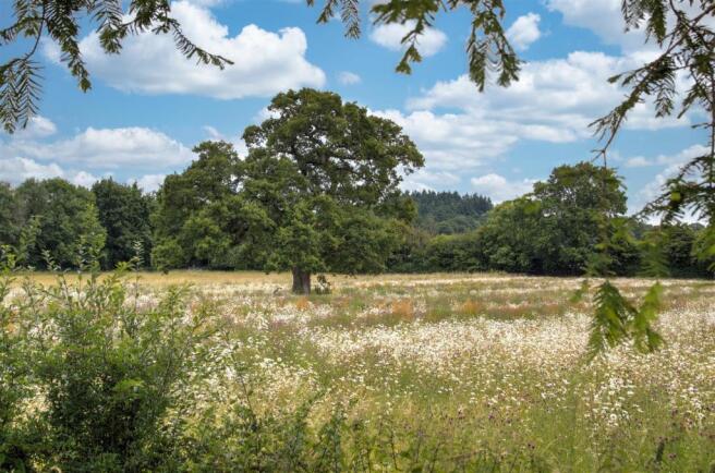 Fields to rear