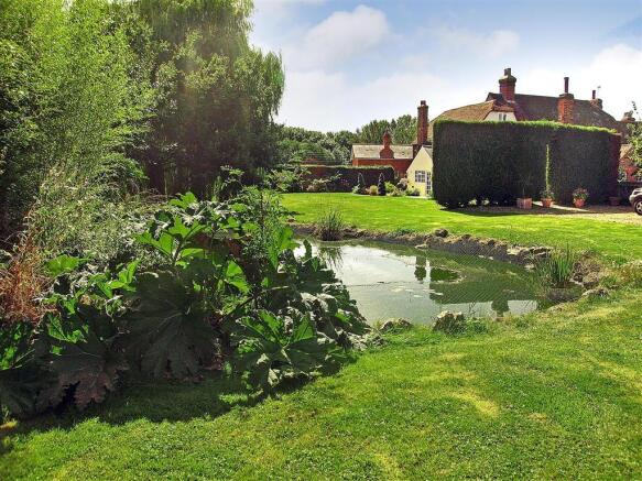 New Pond Shot