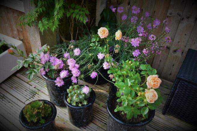 Photo 43