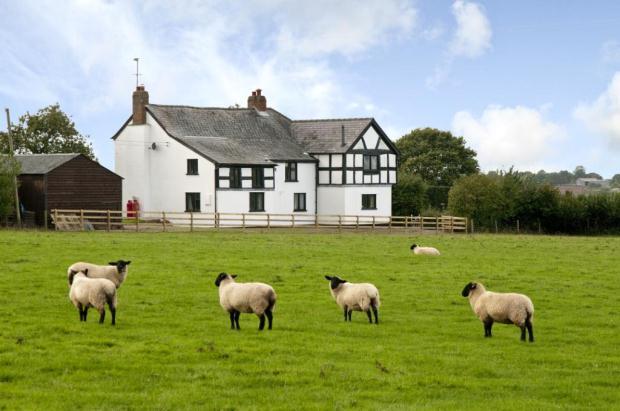 Cottage