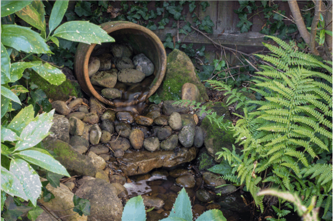 Pond
