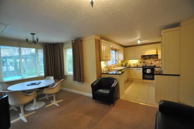 Kitchen And Living Area