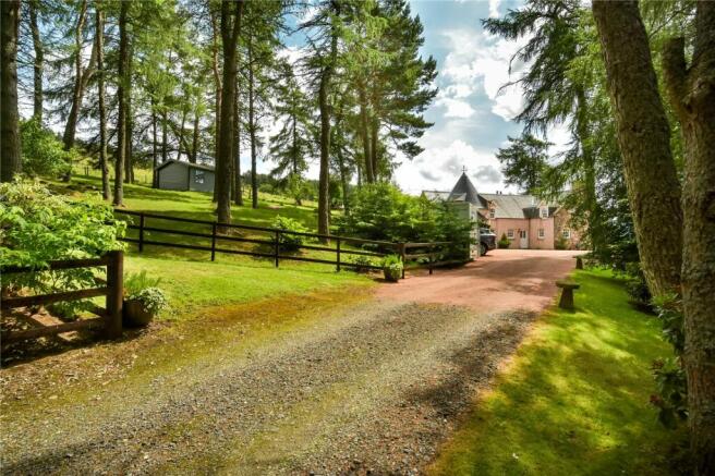 Driveway