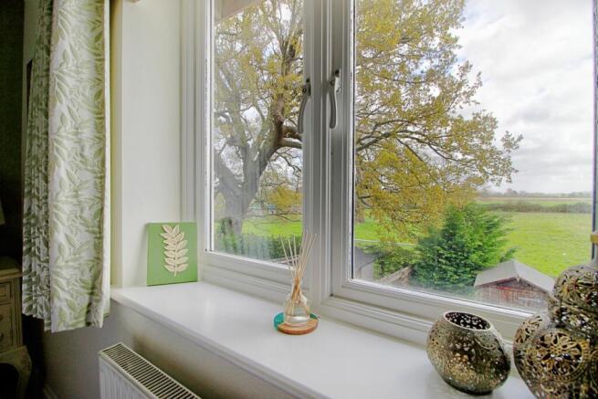 View from Master Bedroom