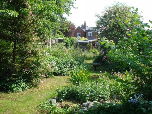A garden for RH.JPG