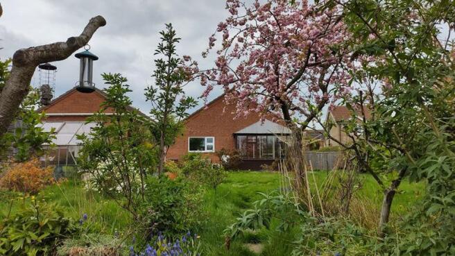 Rear Garden View