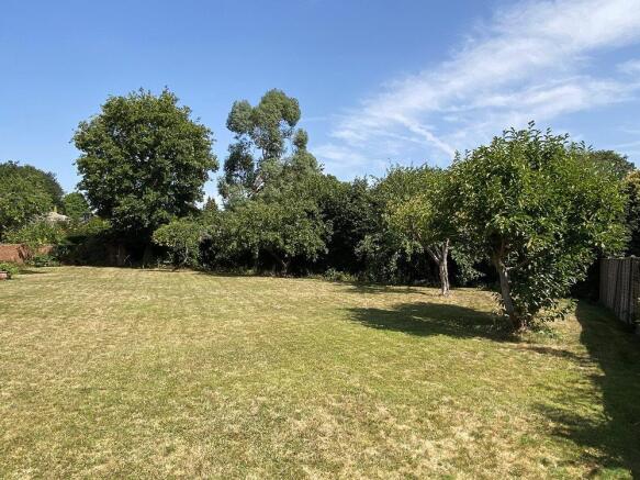 garden.jpg