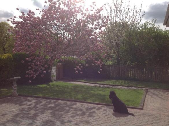 Photo 22