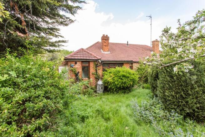 Rear of Property