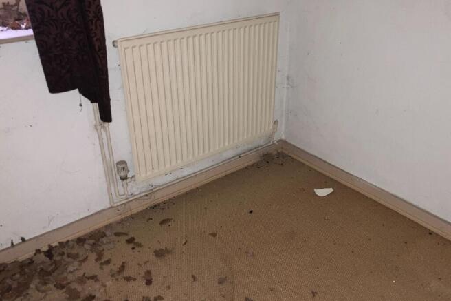 Vine Cottage, Vale Croft Woods, Shoe Lane, Farnborough, Hampshire, GU11 2HE