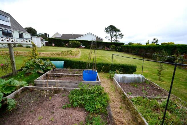 Garden (2).jpg