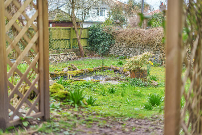Wildlife Pond