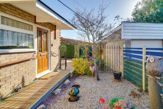 Back Garden