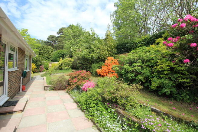 Photo 9
