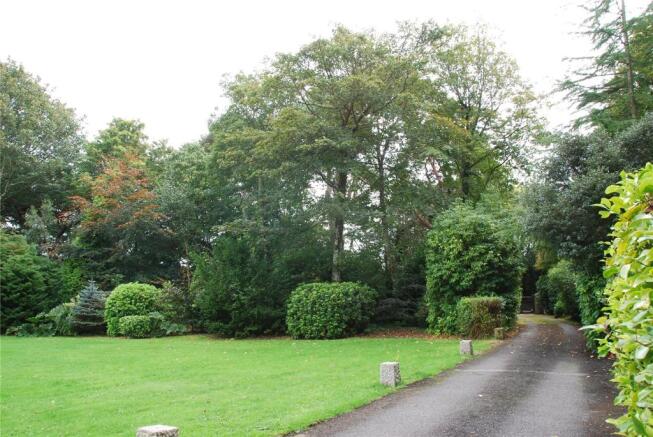 Garden/Drive