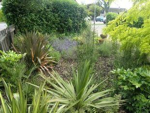 Front Garden