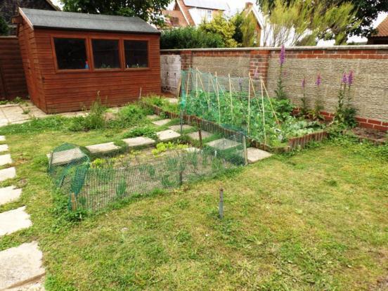 Veg Plot & Shed