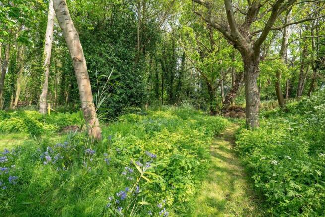 Woodland