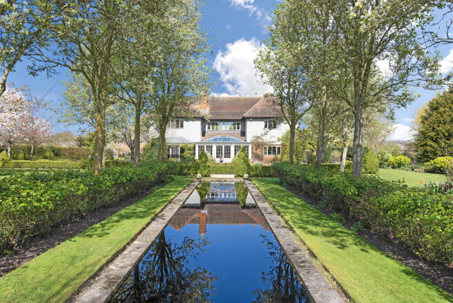 Pond