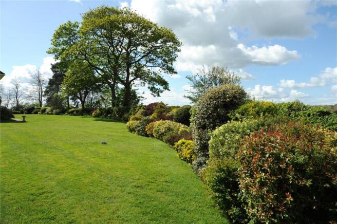 Communal Garden