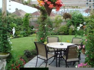 Rear Garden pic 2