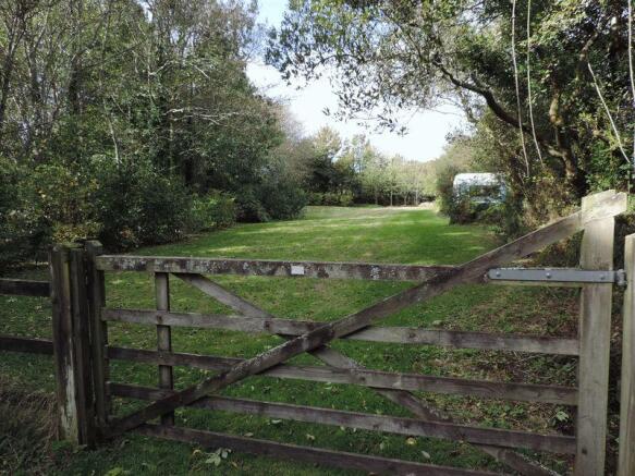 Meadow